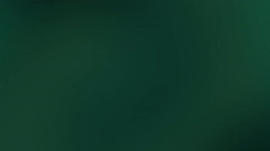 Grafik tasarım projeleri için koyu yeşil arkaplan markalaştırma web sitesi afişleri sosyal medya paylaşımları ve doğa temaları için uygun dijital sunumlar