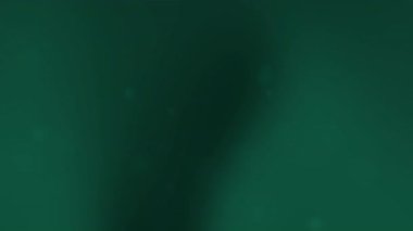 Koyu yeşil eğimli arkaplan, arka plan tasarımları için uygun beyaz benekler, web pankartları dijital sanat baskıları ve grafik örtüleri