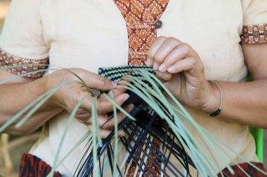 Taylandlı bir kadının eli bambudan bir sepet örüyor. İnsanlar bambudan geleneksel bir sepet örüyorlar.