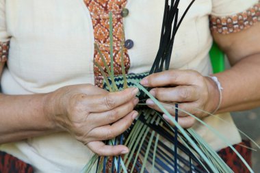 Taylandlı bir kadının eli bambudan bir sepet örüyor. İnsanlar bambudan geleneksel bir sepet örüyorlar.