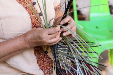 Taylandlı bir kadının eli bambudan bir sepet örüyor. İnsanlar bambudan geleneksel bir sepet örüyorlar.