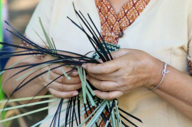 Taylandlı bir kadının eli bambudan bir sepet örüyor. İnsanlar bambudan geleneksel bir sepet örüyorlar.