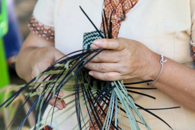 Taylandlı bir kadının eli bambudan bir sepet örüyor. İnsanlar bambudan geleneksel bir sepet örüyorlar.