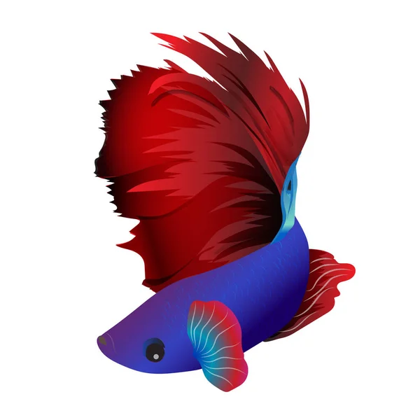 Beyaz Arka Planda Renkli Balıklar Tropikal Egzotik Hayvan — Stok Vektör