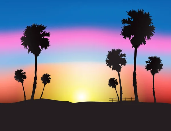 Palmiers Silhouette Contre Coucher Soleil Ciel — Image vectorielle