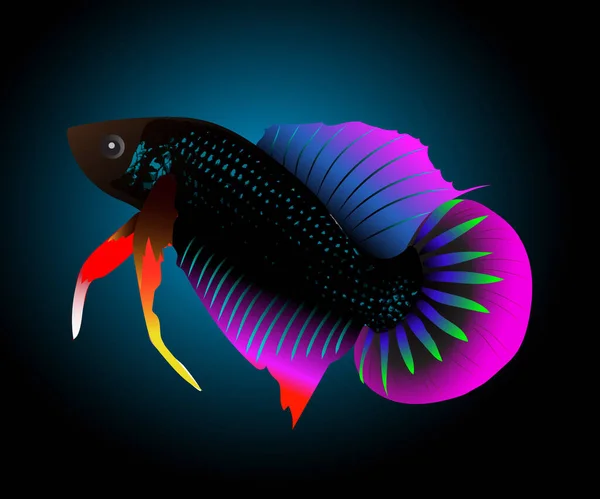 Thai Fighting Fish Vector Illustration — Stock Vector