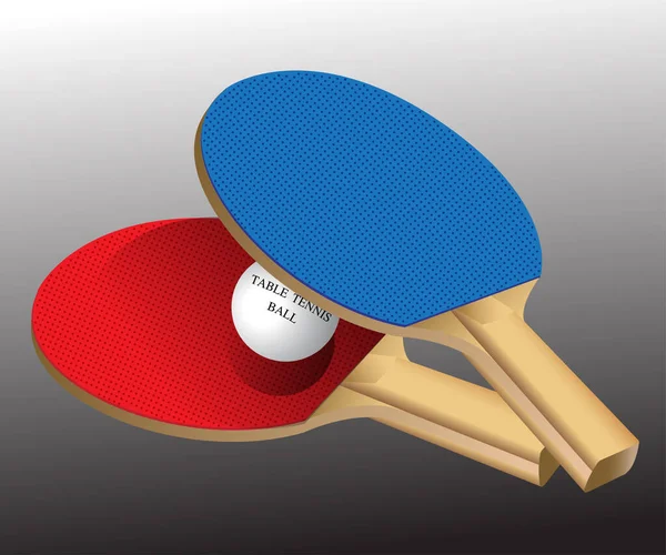 Vector Illustration Set Table Tennis Sports Equipment — Stock Vector