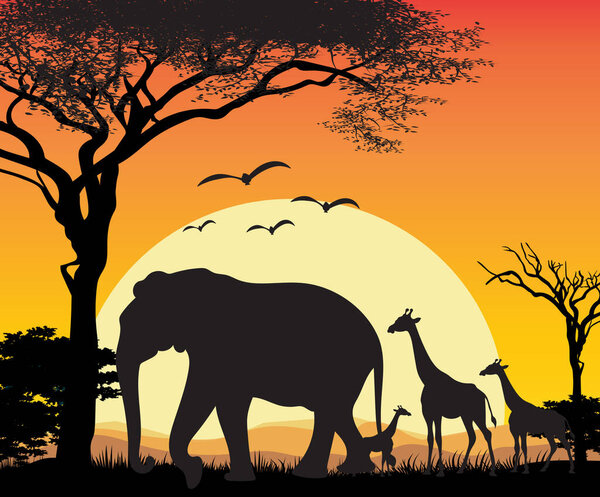 illustration of giraffe in sunset background