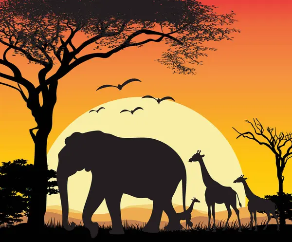 Illustratie Van Giraffe Zonsondergang Achtergrond — Stockvector