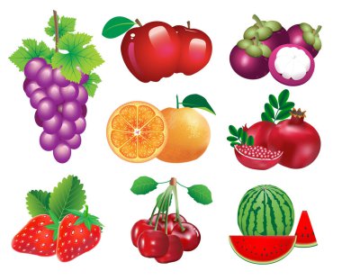 Vektör illüstrasyonu birçok meyve tipini içerir.