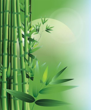 Kullanım için Bambu-bambu kümesi örnek vektör çizimi.
