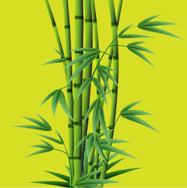 Kullanım için Bambu ağacı vektör illüstrasyonu.