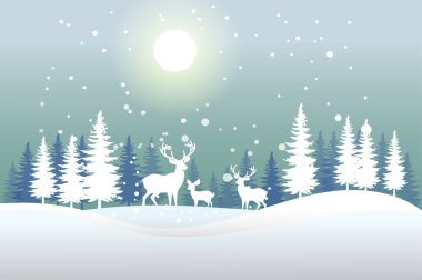 Kar manzarası ve kış hayvan hayatının temsilcisi..