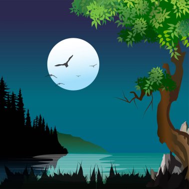 Dolunaylı güzel bir gece manzarasının tasviri.