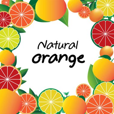 Doğal taze turuncu meyve vektörü çizimi.