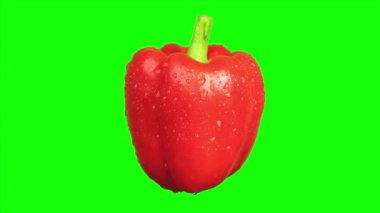 Yeşil ekran kırmızı dolma biber, biberin üzerine düş 
