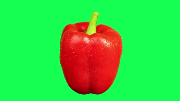 赤いベルペッパーの緑色のスクリーン コショウにドロップ — ストック動画