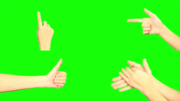 Зеленый Экран Рука Зеленый Экран Руки — стоковое видео