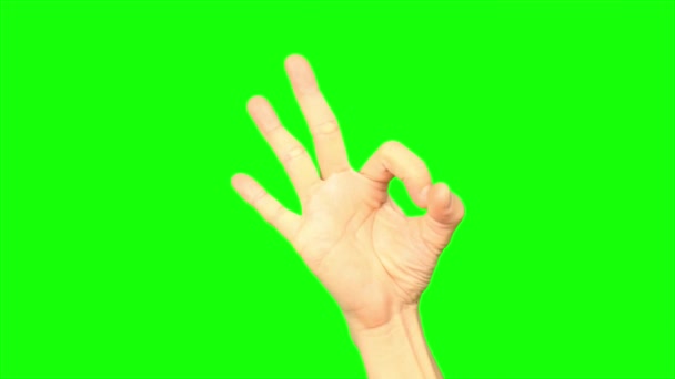 Зелений Екран Рука Зелений Екран Руки — стокове відео