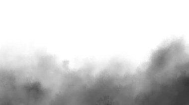 Beyaz arkaplanda sigara, duman arka planı, siyah beyaz arkaplan 