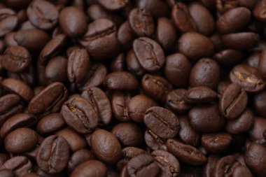 Fasulye kahvesi, kavrulmuş kahve çekirdekleri. 