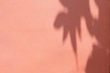 Dokular arka plan, duvar dokusu arkaplan 