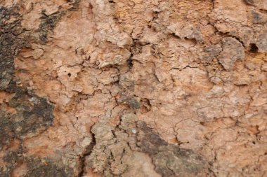 Ahşap doku arka plan, desenli arka plan, kahverengi ahşap doku 