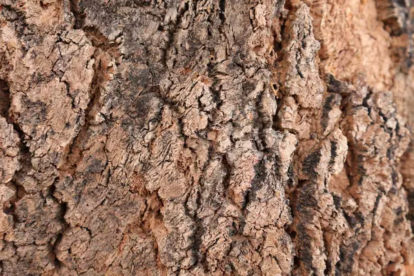 Ahşap doku arka plan, desenli arka plan, kahverengi ahşap doku 