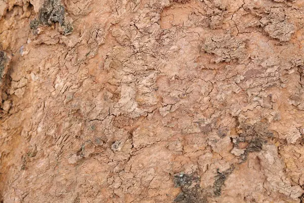 Ahşap doku arka plan, desenli arka plan, kahverengi ahşap doku 