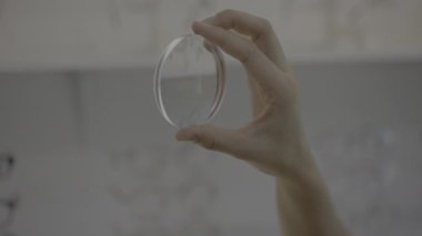 Optik mağazada el gözlüğü lensleri, gözlük camları. 