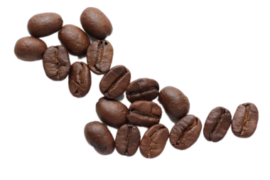 Kahverengi kahve çekirdekleri beyaz arka planda izole edilmiş. 