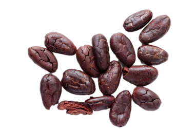 Kahverengi kavrulmuş kakao çekirdekleri beyaz arka planda izole edilmiş. 