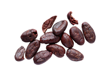 Kahverengi kavrulmuş kakao çekirdekleri beyaz arka planda izole edilmiş. 