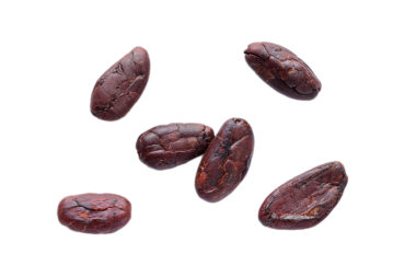 Kahverengi kavrulmuş kakao çekirdekleri beyaz arka planda izole edilmiş. 
