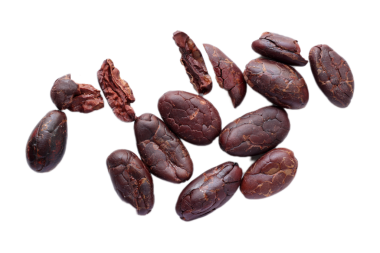 Kahverengi kavrulmuş kakao çekirdekleri beyaz arka planda izole edilmiş. 