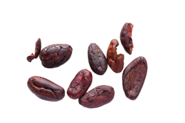 Kahverengi kavrulmuş kakao çekirdekleri beyaz arka planda izole edilmiş. 