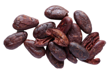 Kahverengi kavrulmuş kakao çekirdekleri beyaz arka planda izole edilmiş. 