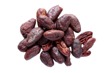 Kahverengi kavrulmuş kakao çekirdekleri beyaz arka planda izole edilmiş. 