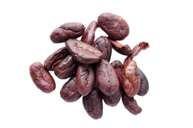 Kahverengi kavrulmuş kakao çekirdekleri beyaz arka planda izole edilmiş. 