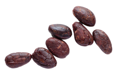 Kahverengi kavrulmuş kakao çekirdekleri beyaz arka planda izole edilmiş. 