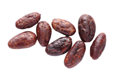 Kahverengi kavrulmuş kakao çekirdekleri beyaz arka planda izole edilmiş. 