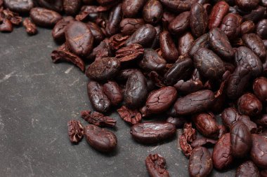 Kahverengi kavrulmuş kakao çekirdekleri siyah masa arkasında.