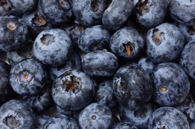 Beyaz arka planda yaban mersini meyvesi, beyaz arka planda izole edilmiş yaban mersini meyveleri, olgun yaban mersini meyveleri