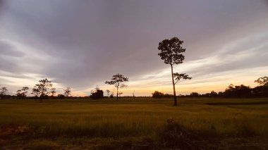 Günbatımında manzara, sonbaharda günbatımında güzel manzara. 