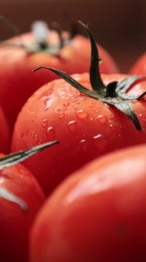 Damlalı domates, sebzeli domates. 