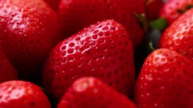 Çilek meyvesi, çileklere yakın çekim. 