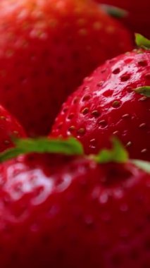 Çilek meyvesi, olgun çilek. 