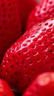 Çilek meyvesi, olgun çilek. 