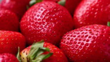 Çilek meyvesi, olgun çilek. 