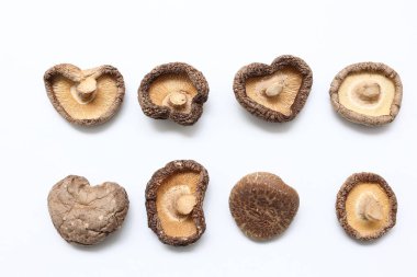 Beyaz Arkaplanda İzole edilmiş Mantar 